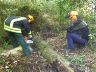 Ein umgestürzter Baum mit Wurzelteller (im Hintergrund) erfordert besondere Vorsicht.